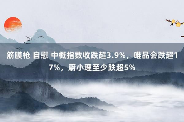 筋膜枪 自慰 中概指数收跌超3.9%，唯品会跌超17%，蔚小理至少跌超5%