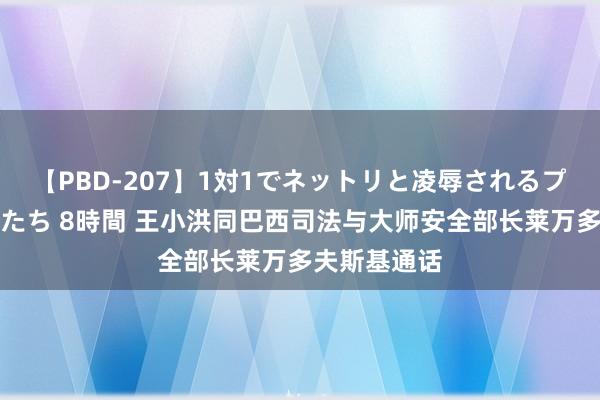 【PBD-207】1対1でネットリと凌辱されるプレミア女優たち 8時間 王小洪同巴西司法与大师安全部长莱万多夫斯基通话