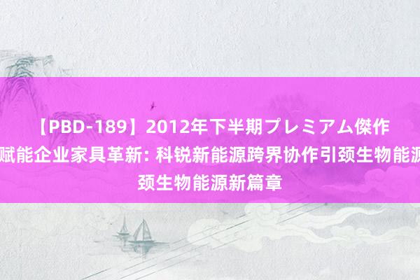 【PBD-189】2012年下半期プレミアム傑作選 诺奖赋能企业家具革新: 科锐新能源跨界协作引颈生物能源新篇章