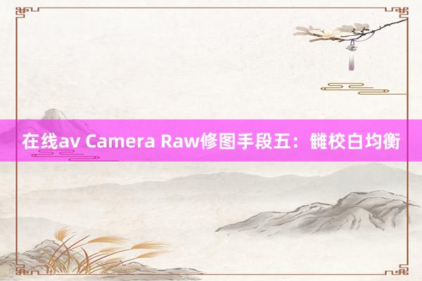 在线av Camera Raw修图手段五：雠校白均衡