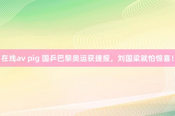 在线av pig 国乒巴黎奥运获捷报，刘国梁就怕惊喜！