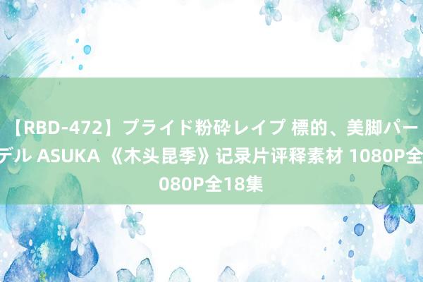 【RBD-472】プライド粉砕レイプ 標的、美脚パーツモデル ASUKA 《木头昆季》记录片评释素材 1080P全18集