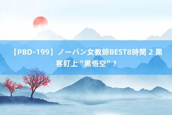 【PBD-199】ノーパン女教師BEST8時間 2 黑客盯上“黑悟空”？