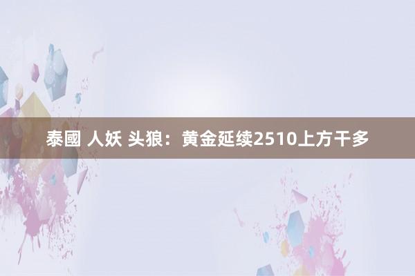 泰國 人妖 头狼：黄金延续2510上方干多