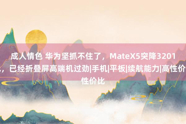 成人情色 华为坚抓不住了，MateX5突降3201元，已经折叠屏高端机过劲|手机|平板|续航能力|高性价比